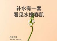 朵嘉浓胶原蛋白球多少钱？朵嘉浓保湿水