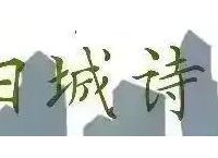 绽妍护肤品效果怎么样（绽妍冻干面膜）