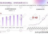 中华医药祛斑养颜（中华医药祛斑养颜膏方）
