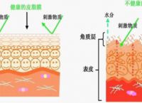朵嘉浓和薇诺娜哪个好朵嘉浓什么是皮脂膜？
