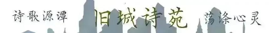 绽妍护肤品效果怎么样（绽妍冻干面膜）